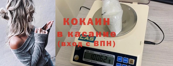 индика Елабуга