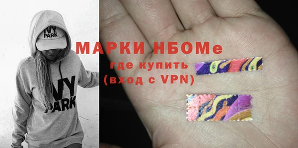индика Елабуга