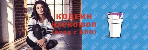 твердый Ельня