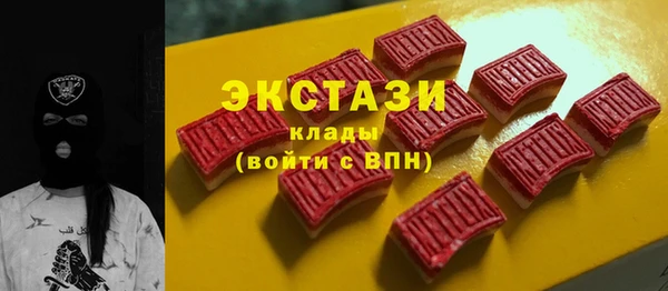 индика Елабуга