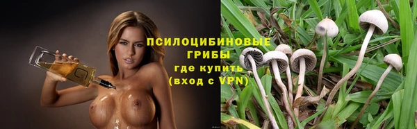 индика Елабуга