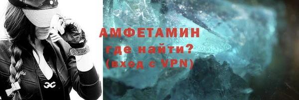 индика Елабуга