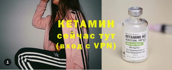 индика Елабуга