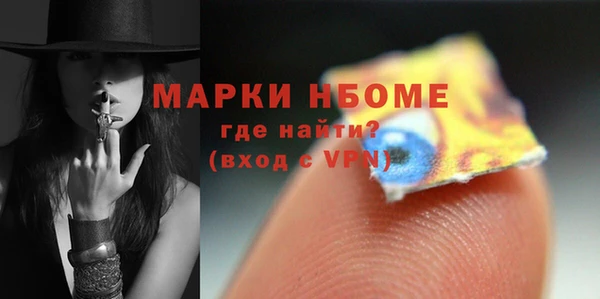 индика Елабуга