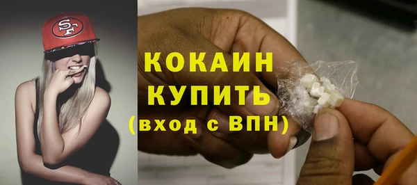 твердый Ельня