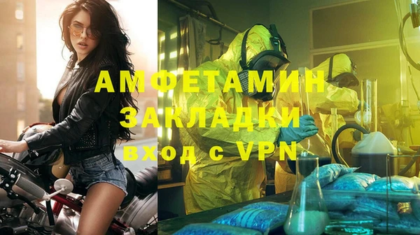 индика Елабуга