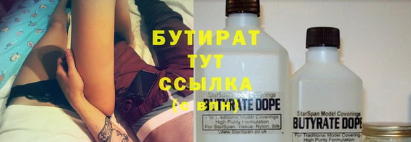 индика Елабуга