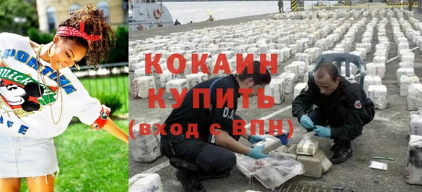 твердый Ельня