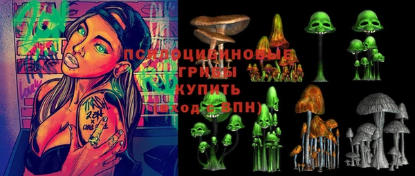 твердый Ельня