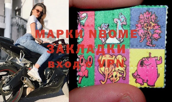 индика Елабуга
