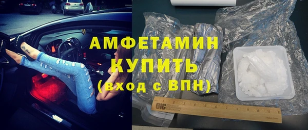 твердый Ельня