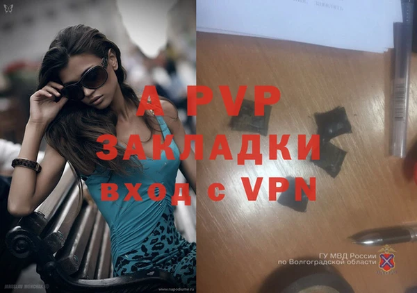 индика Елабуга