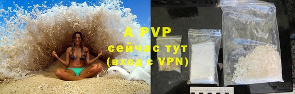 индика Елабуга