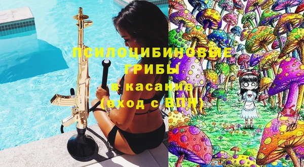 индика Елабуга