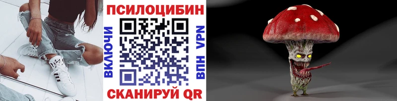 закладка  Кизел  Псилоцибиновые грибы мицелий 